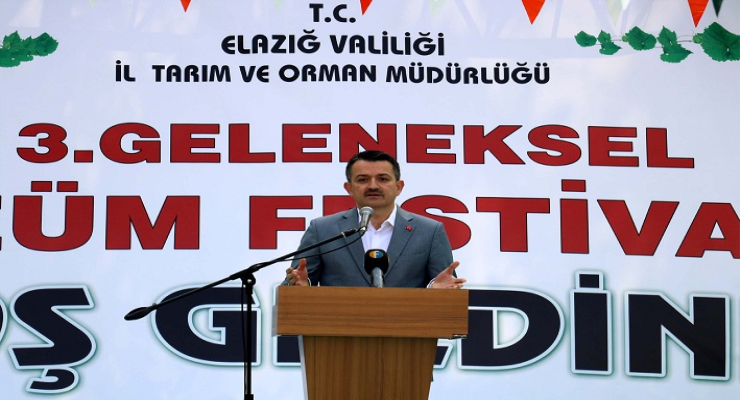 BAKAN PAKDEMİRLİ'DEN MISIR ÜRETİCİLERİNE MÜJDE…