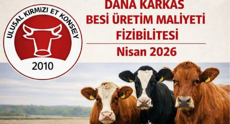 Dana Karkas Besi Üretim Maliyeti Fizibilitesi - NİSAN 2026